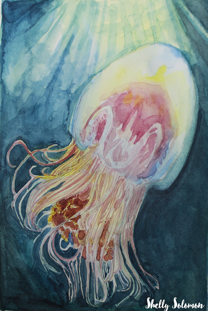 Day 5 Lion mane Jellyfish