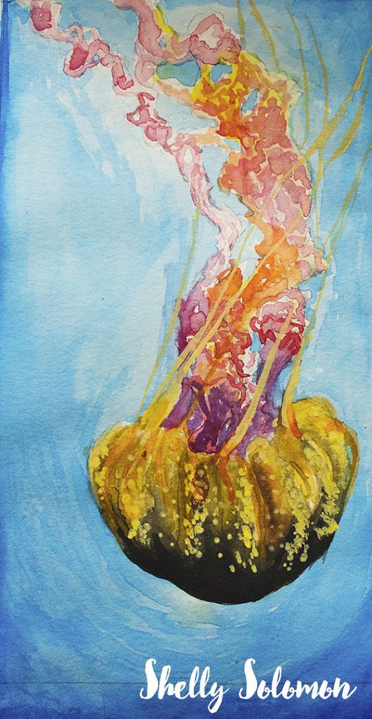 Black sea nettle Jellyfish